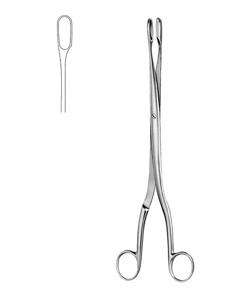 Placenta and Ovum Forceps #6